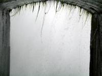 Nikita+Lenore Wedding Toronto - 208 